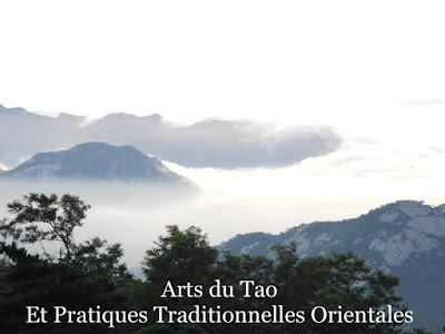 Atelier Lao Gong/ Energétique Traditionnelle Chinoise/ Qi Gong/ Tuina/ Pratiques taoïstes à Saint-Pierre