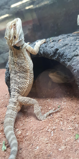 Pet Supply Store «Petco Animal Supplies», reviews and photos, 1209 New Brunswick Ave, Phillipsburg, NJ 08865, USA