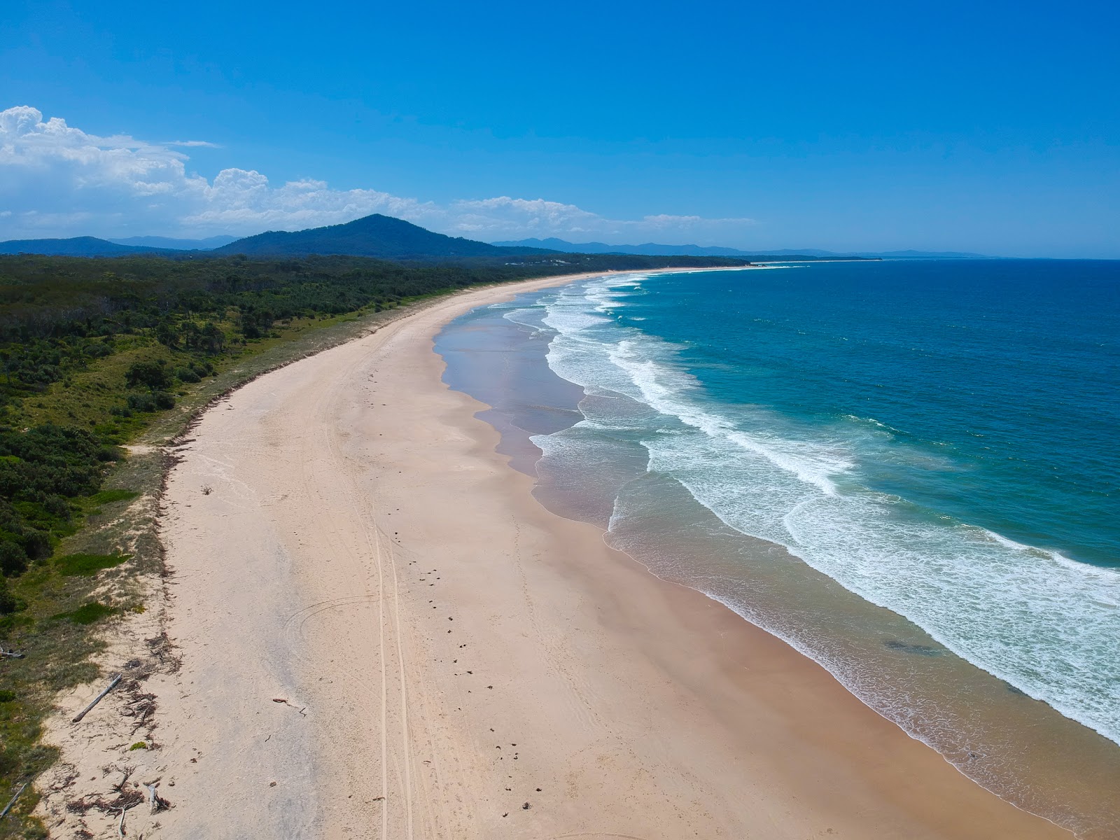 Photo de Forster Beach avec rivage droit, long
