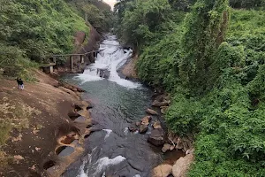 Aruvikuthu Waterfalls image