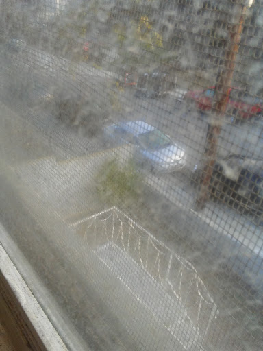 Tattoo Shop «Lovesick Tattoo», reviews and photos, 1010 Aviation Blvd, Hermosa Beach, CA 90254, USA