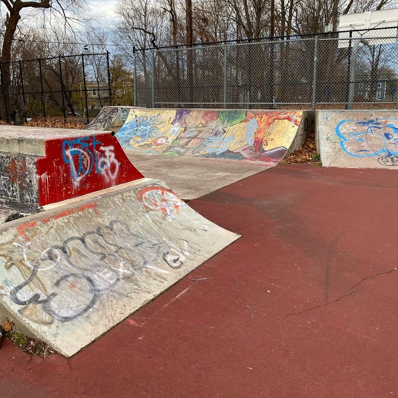 Bartlett Skatepark