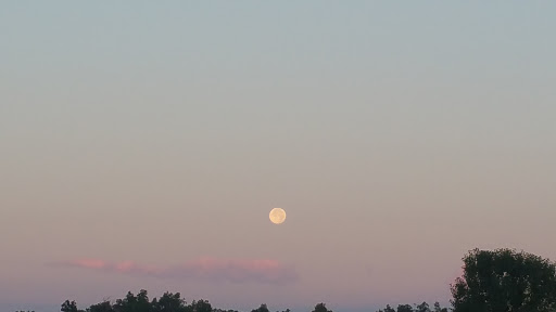 Building Materials Store «McCabe Lumber», reviews and photos, 118 Northeast Dr, Loveland, OH 45140, USA