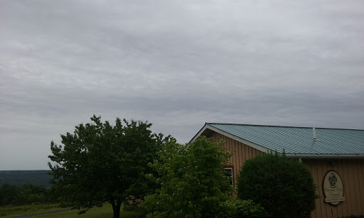 Winery «Frontenac Point Vineyard & Estate Winery», reviews and photos, 9501 NY-89, Trumansburg, NY 14886, USA