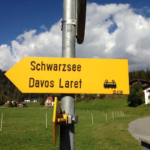 Weidstrasse 8, 7265 Davos, Schweiz