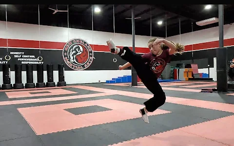 New England Martial Arts Athletic Center image