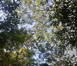 MUSEO DEL COCODRILO photo