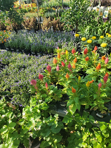 Home Improvement Store «The Home Depot», reviews and photos, 1055 W 21st St, San Bernardino, CA 92405, USA