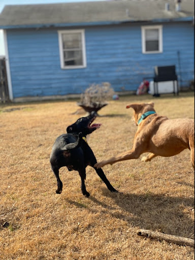 Movie Theater «United Artists Galaxy Theatre 10», reviews and photos, 11801 McCree Rd, Dallas, TX 75238, USA