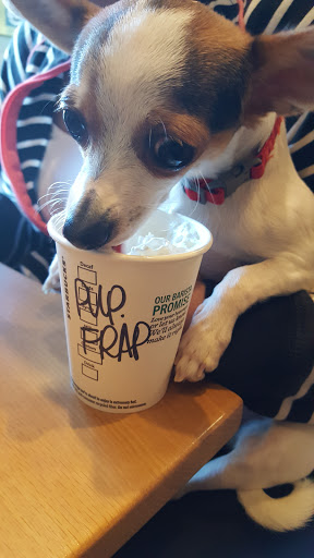 Starbucks image