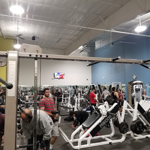 Gym «In-Shape Health Clubs», reviews and photos, 180 Griffith Ln, Brentwood, CA 94513, USA