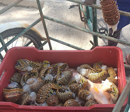 Muelle De Pescadores De San Felipe photo