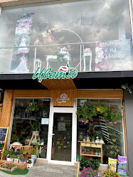 Магазин за цветя Ставрос