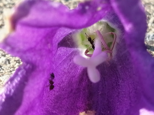 Park «Purgatory Creek Park Pavilion», reviews and photos, 13001 Technology Dr, Eden Prairie, MN 55344, USA