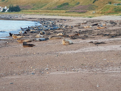 Photo de Portgordon Beach zone sauvage