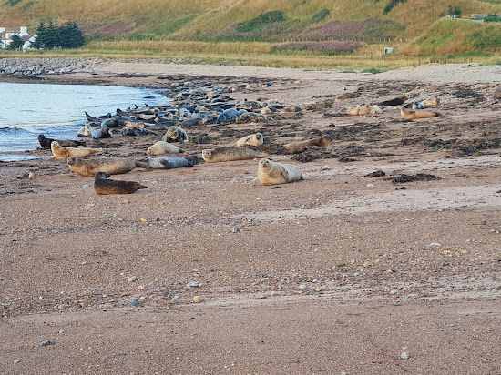 Portgordon Beach