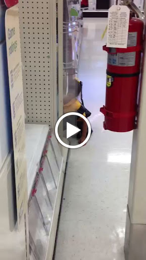 Department Store «Target», reviews and photos, 2800 SW Barton St, Seattle, WA 98126, USA