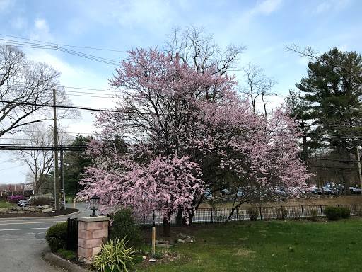 Golf Course «Maple Moor Golf Course», reviews and photos, 1128 North St, White Plains, NY 10605, USA