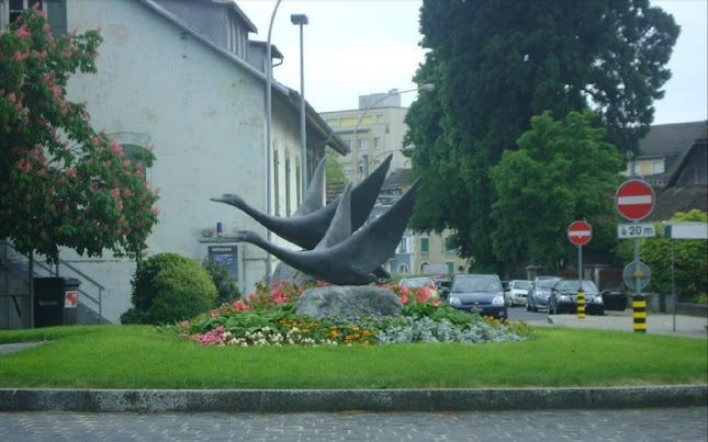 Rue des Cygnes 53-55, 1400 Yverdon-les-Bains, Schweiz