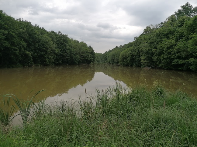 Telefonszám: Őrségi Nemzeti Park Igazgatóság