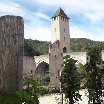 Sophr' Âne à Cahors