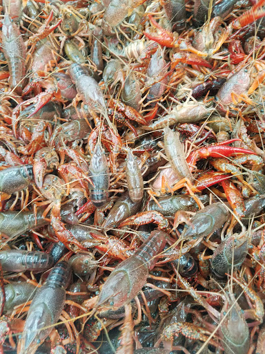 Supermarket «SF Supermarket», reviews and photos, 4970 E Kings Canyon Rd, Fresno, CA 93727, USA