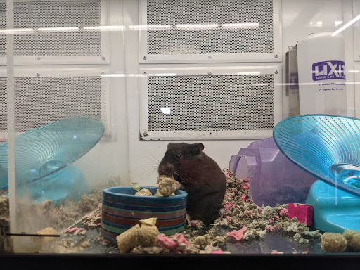 Pet Supply Store «Petco Animal Supplies», reviews and photos, 16710 Royalton Rd, Strongsville, OH 44136, USA