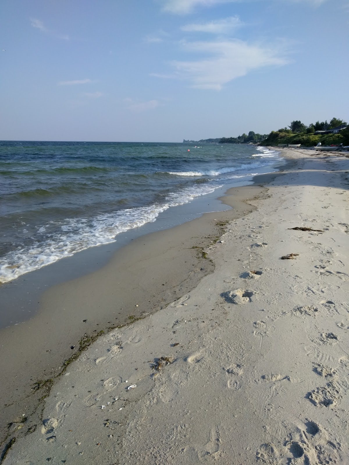 Fotografie cu Dinestrup Beach cu nivelul de curățenie înalt