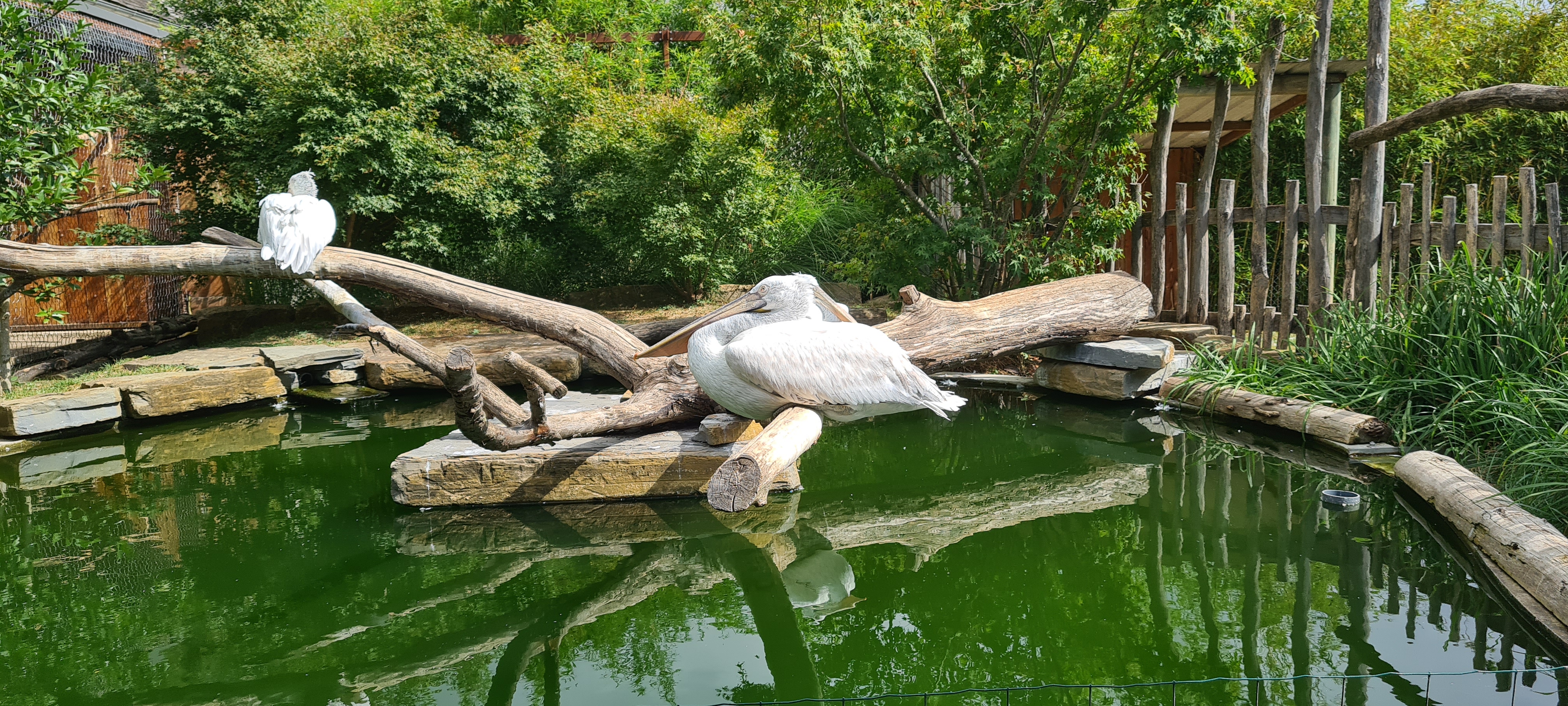 Photo n° 7 de l'avis de Julie.u fait le 15/08/2022 à 13:03