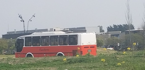 Miflor Bus SRL