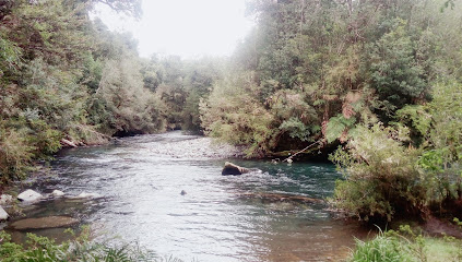 Tour Termas de Puyehue