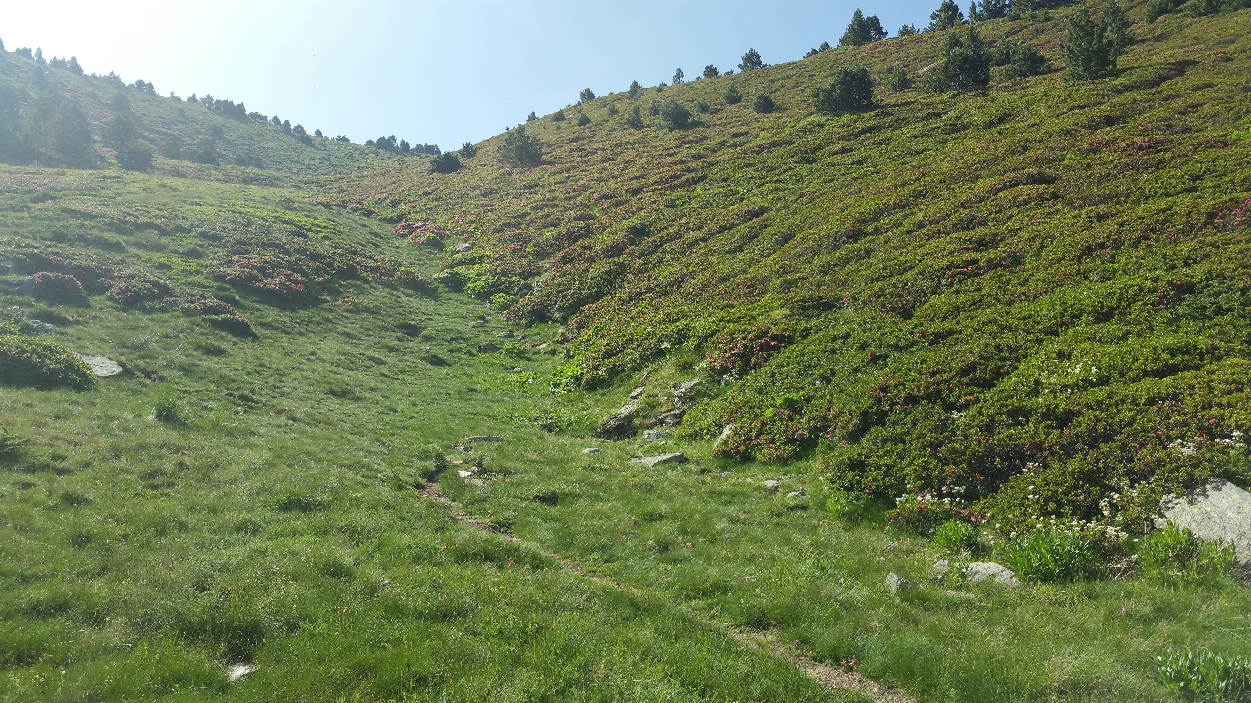 Photo n° 2 de l'avis de Francoise.o fait le 21/08/2018 à 17:39