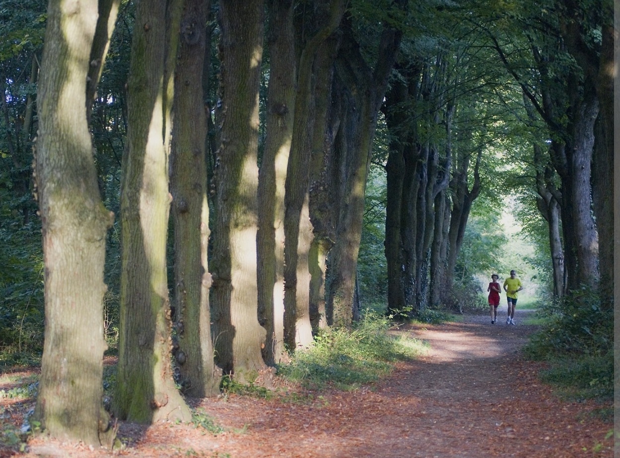 Photo n° 3 de l'avis de Alfred.i fait le 15/03/2024 à 20:56