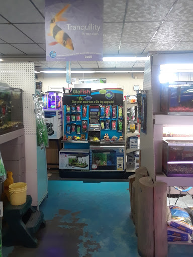 Pet Store «Southside Pet Shop», reviews and photos, 7031 Southside Dr, Louisville, KY 40214, USA