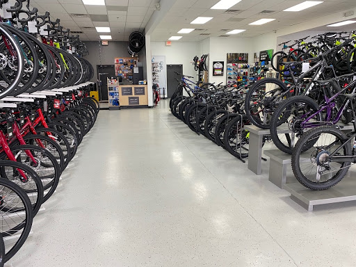 Bicycle Store «Trek Bicycle Stafford Aquia Park», reviews and photos, 2773 Jefferson Davis Hwy, Stafford, VA 22554, USA