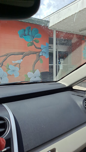 Asian Grocery Store «Brandon Oriental Market», reviews and photos, 112 Pauls Dr, Brandon, FL 33511, USA