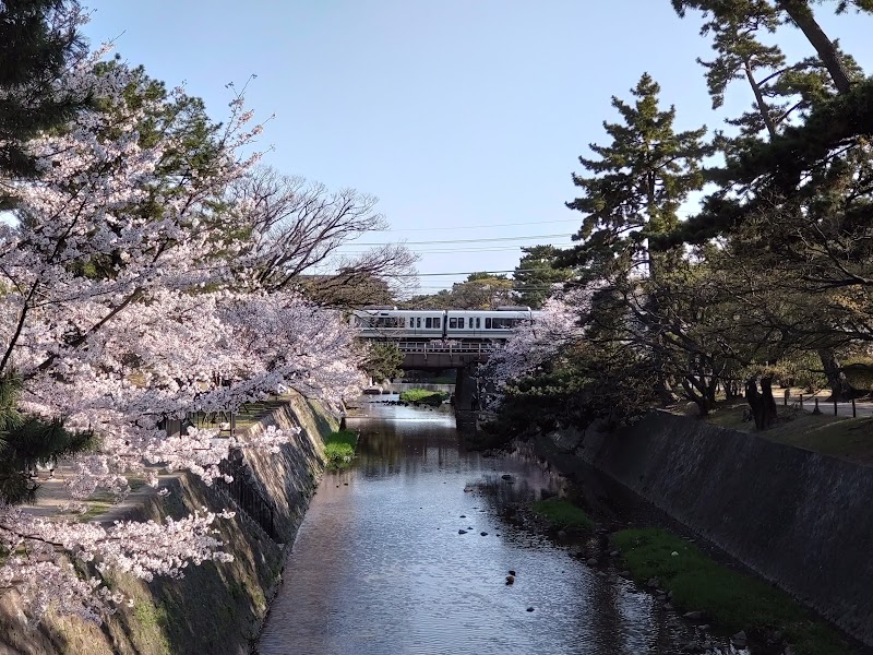 夙川河川敷緑地（夙川公園）