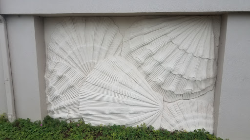 Museum «Bailey-Matthews Shell Museum», reviews and photos, 3075 Sanibel Captiva Rd, Sanibel, FL 33957, USA
