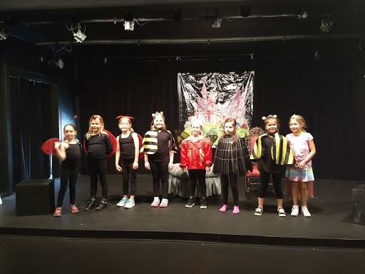 Performing Arts Theater «Chicago Street Theatre», reviews and photos, 154 W Chicago St, Valparaiso, IN 46383, USA