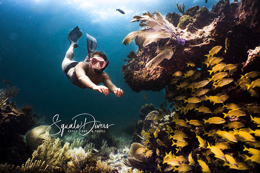 Squalo Divers