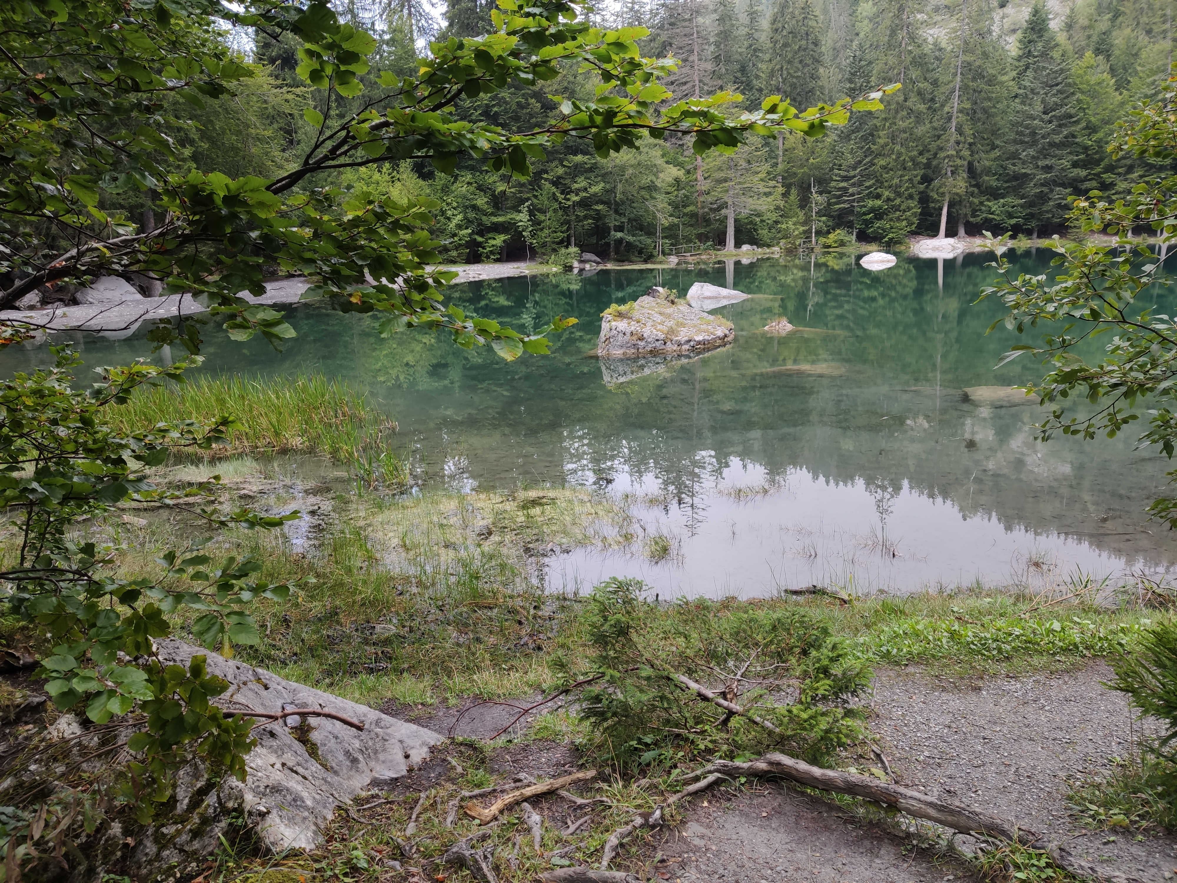 Photo n° 6 de l'avis de Victoria. fait le 08/09/2019 à 11:05