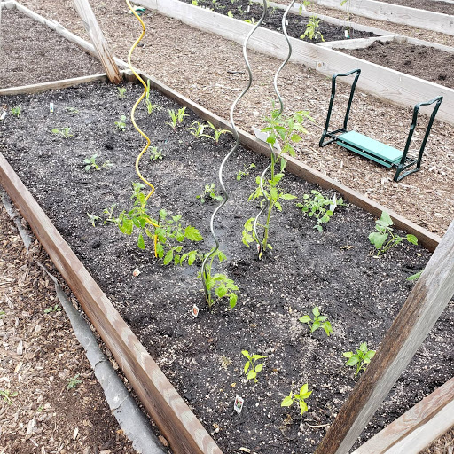 St Clair Shores Community Garden image 4