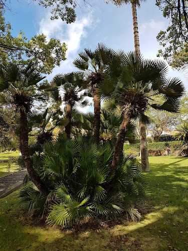 Jardim Quinta Magnólia Horário de abertura