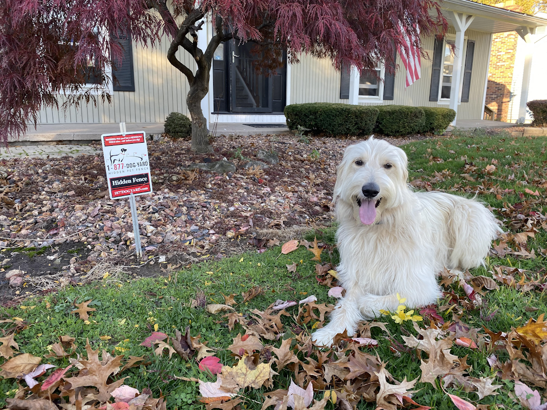 Hidden Pet Fence of NY, Inc.