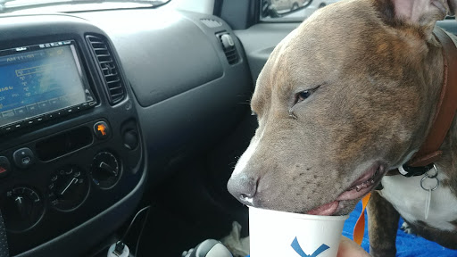 Coffee Shop «Dutch Bros», reviews and photos, 373 Caldwell Blvd, Nampa, ID 83651, USA