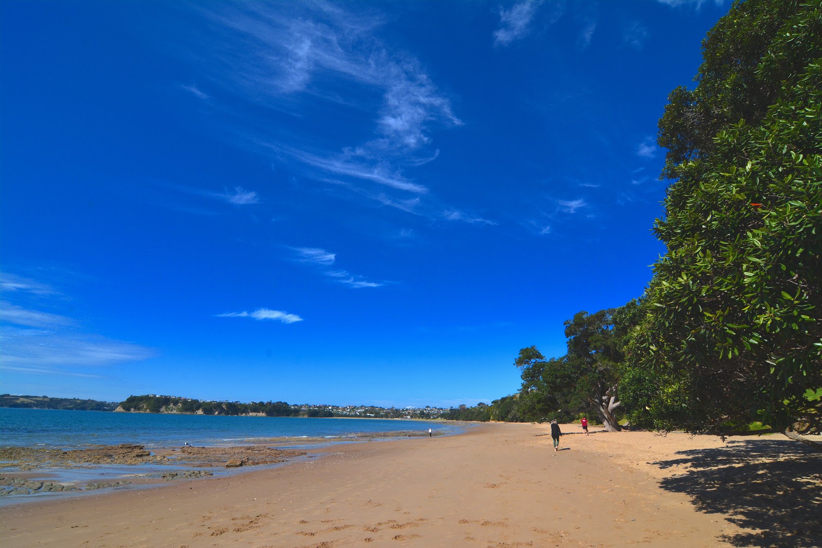 Fotografie cu Cooper Reserve Beach - locul popular printre cunoscătorii de relaxare