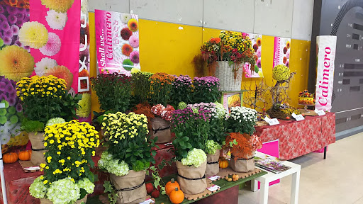 Ota Floriculture Auction Co., Ltd.