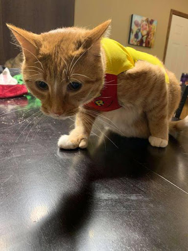 Pet Supply Store «Natural Pet Center», reviews and photos, 3037 13th Ave S, Fargo, ND 58103, USA