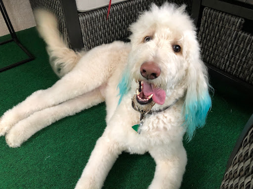 Pet Supply Store «Pet Supplies Plus», reviews and photos, 1377 N 21st St, Newark, OH 43055, USA