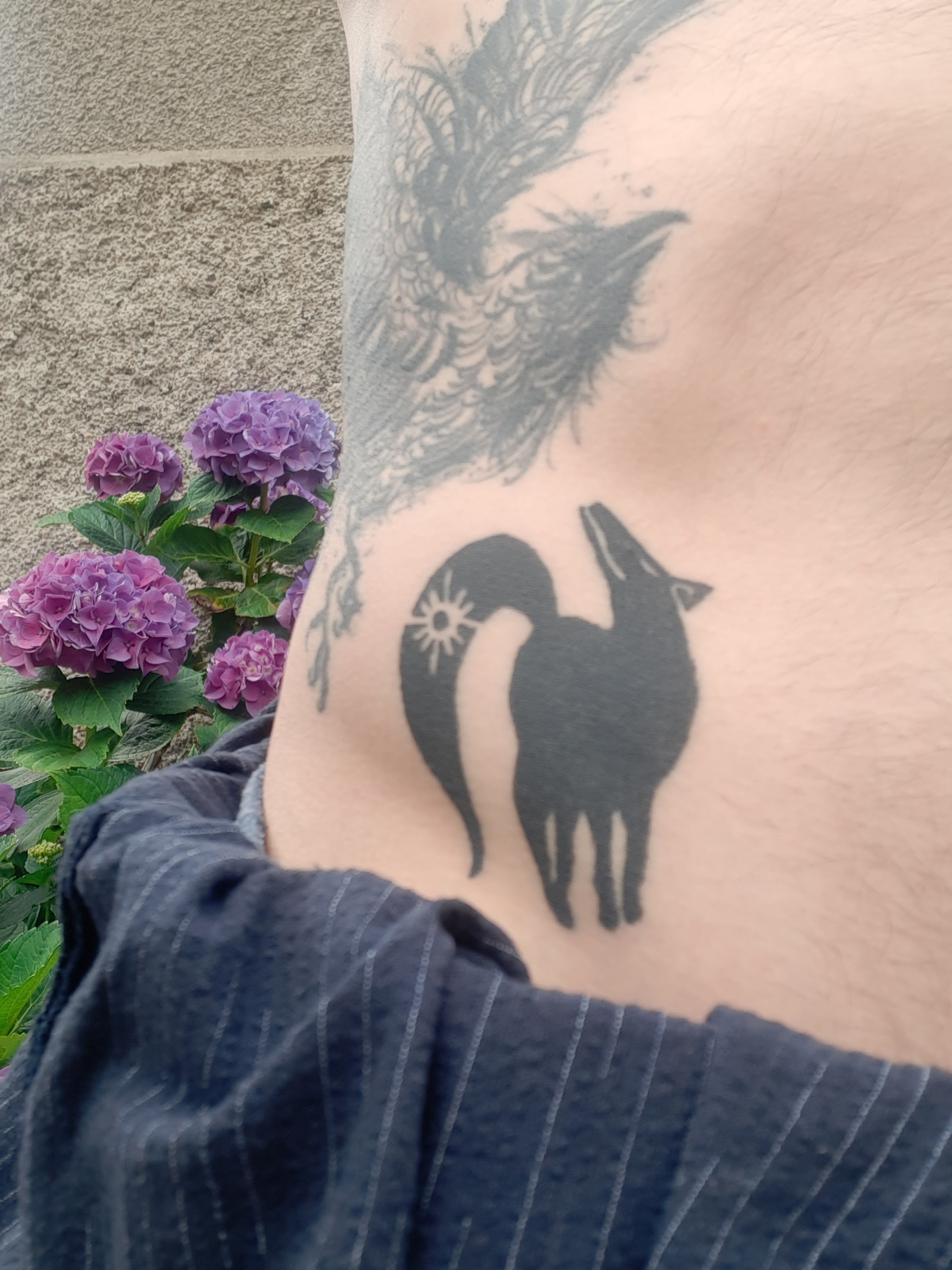 Photo n° 1 de l'avis de Thomas.e fait le 22/09/2022 à 17:57